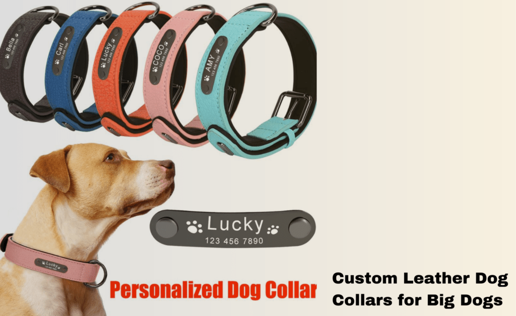 Custom Leather Dog Collars for Big Dogs