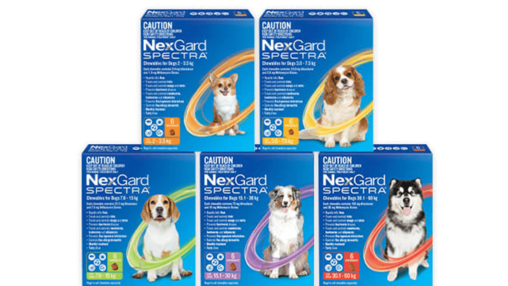 NEXGARD SPECTRA product for dogs