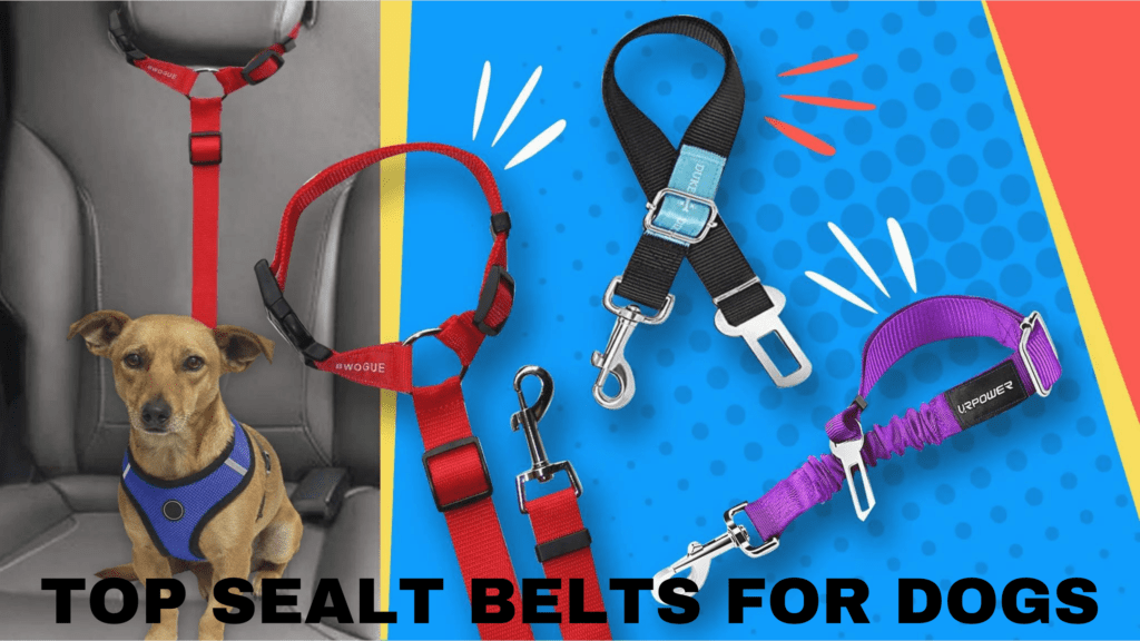 top seat belts for dogs