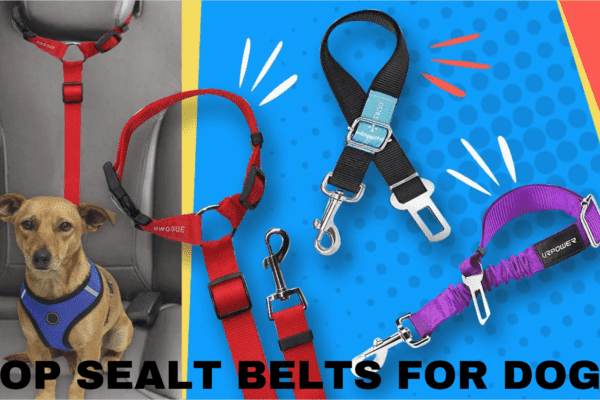 top seat belts for dogs